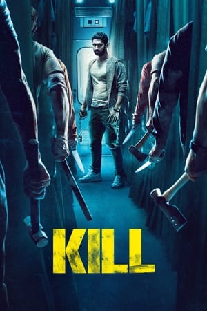 Mp4Moviez Kill 2024 Hindi Full Movie Pre-DVDRip 480p 720p 1080p Download